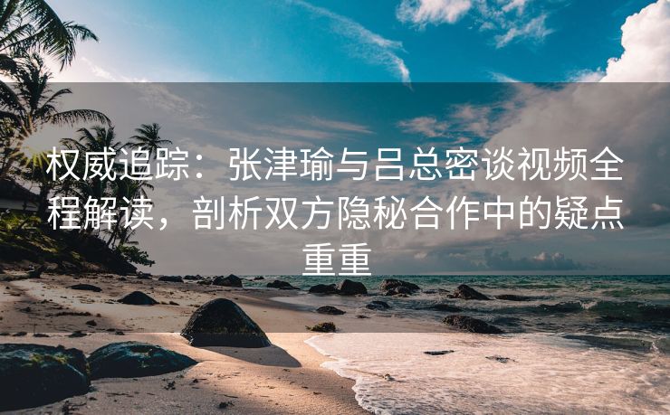 权威追踪：张津瑜与吕总密谈视频全程解读，剖析双方隐秘合作中的疑点重重